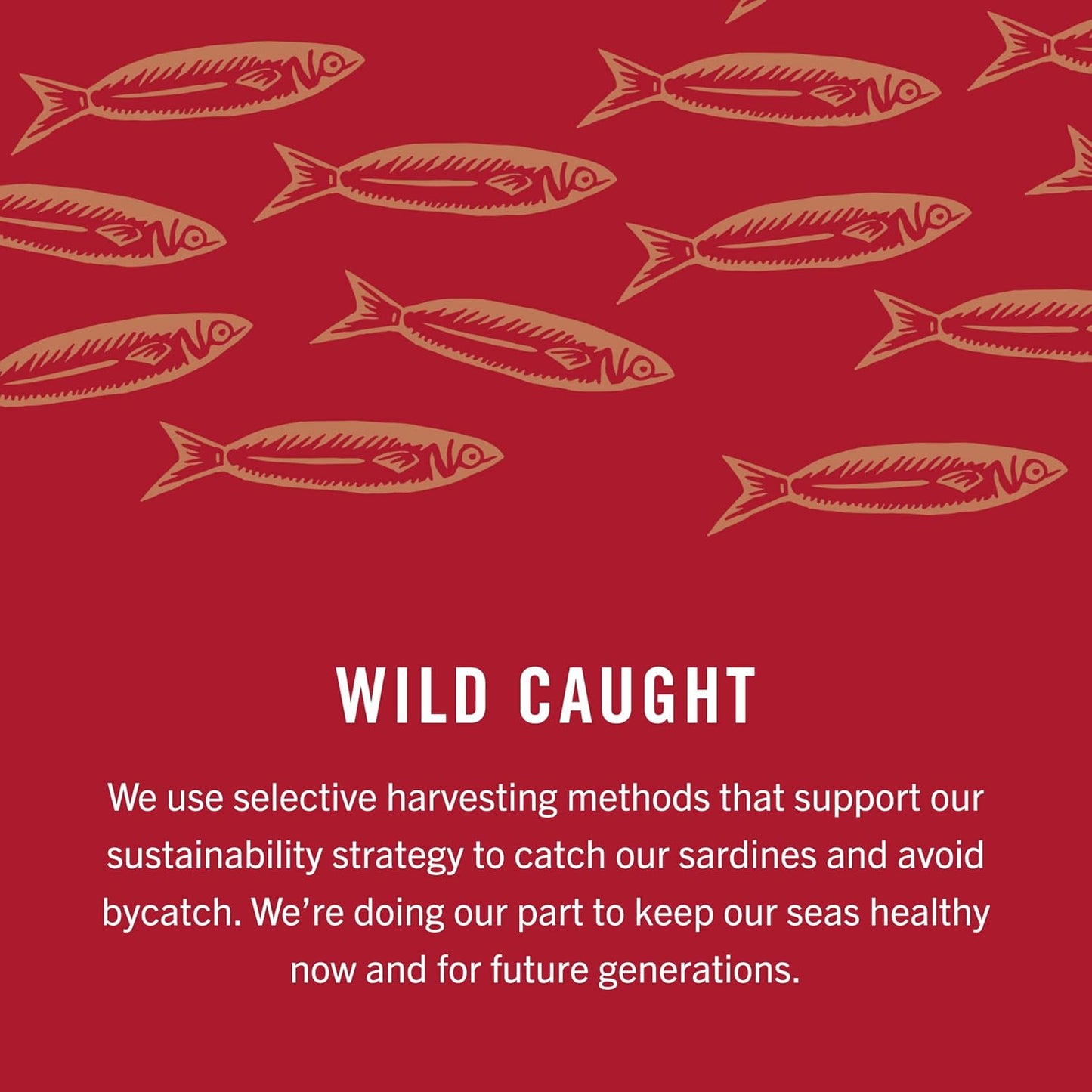 King Oscar Wild Caught Sardines in Extra Virgin Olive Oil 3.75 Ounce (Pack of 4)