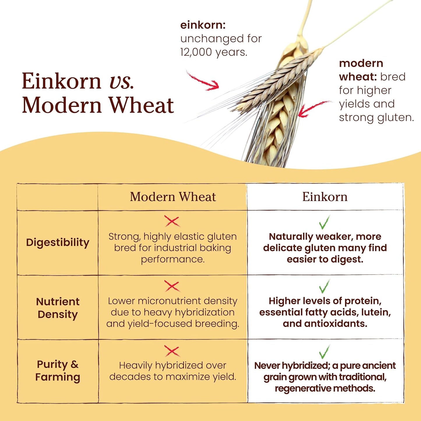 Jovial Organic Einkorn Unbleached All Purpose Flour - Bread Baking Flour for Sourdough, High Protein, Non-GMO, For Organic Pizza & Pasta, European Italian Made, Glyphosate Free - 32 Oz