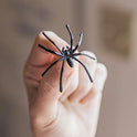 Happy Hippo Halloween Spider Web Decoration, 200 Sqare Feet & Plastic Spiders, Halloween Party Supplies, Spider Webs (Small, 200 Sq Feet) (8 Fake Spiders Included)