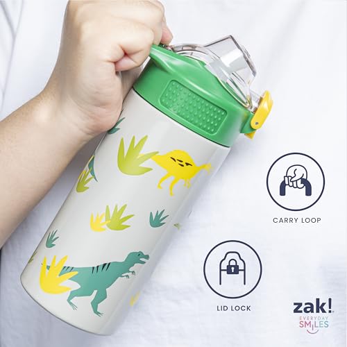 Zak Designs Marvel Spider-Man Sage Kids Water Bottle For School or Travel, 19oz Stainless Steel Water Bottle With Straw, Handle, and Leak-Proof, Pop-Up Spout Cover (Miles Morales)