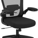 FelixKing Office Chair, Ergonomic Desk Chair Breathable Mesh Chairs Adjustable High Back Lumbar Support Flip-up Armrests, Executive Rolling Swivel Comfy Computer Chairs Home Office Black