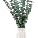 10 Pcs Dried Eucalyptus Stems 17" Real Eucalyptus for Shower Hanging 100% Made from Fresh Leaves, Wedding, Home, Farmhouse, DIY Spring Decor Bathroom Decor Home Decor