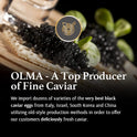 OLMA Classic Caviar Black Caviar Gift Box - Includes 2 oz of Siberian Osetra Aurora, White Sturgeon, Paddlefish, Hackleback Sturgeon Fish Roe & Mother of Pearl Serving Spoon - Overnight Delivery