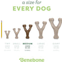 Benebone Wishbone Durable Dog Chew Toy for Aggressive Chewers, Real Bacon, Made in USA, Medium