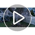 MAQIHAN 1000 sqft Spider Webs Halloween-Decorations Halloween Spider Web Cobwebs Halloween Decorations with 40 Fake Spiders Super Stretch Cobwebs for Halloween Decor Outdoor