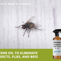 Kate's Home & Garden Peppermint Oil Spray for Bugs, Ants, Insects, Spiders. Pesticide and Insecticide Indoor Repellent Pest Control with Cedarwood Oil (16oz, Natural, Pet Safe, Non Toxic)