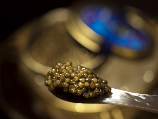 Ossetra Sturgeon Caviar 250g (8.8 oz)