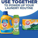ARM & HAMMER Plus OxiClean Clean Meadow, 77 Loads Liquid Laundry Detergent, 100.5 fl oz