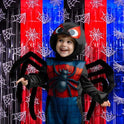 Bupelo Spider Web Birthday Decorations, 2 Pack Spider Party Supplies 3.3x6.6ft Tinsel Foil Fringe Curtains, Red Black, and Blue Photo Booth Prop Backdrop Streamer, Birthday Decor, Party Decor for Boys