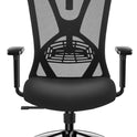 Ticova Ergonomic Office Chair - High Back Desk Chair with Adjustable Lumbar Support, Headrest & 3D Armrest