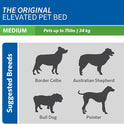 Coolaroo Original Elevated Dog Bed - Breathable Off-The-Ground Pet Bed with Cooling Fabric, Joint Relief & Moisture-Resistant Fabric, 100% Recyclable, Easy Clean, Grey, Medium