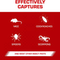 Tomcat Glue Traps Mouse Size with Eugenol for Enhanced Stickiness for Mice, Cockroaches, and Spiders, 6 Traps