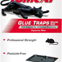 Tomcat Glue Traps Mouse Size with Eugenol for Enhanced Stickiness for Mice, Cockroaches, and Spiders, 6 Traps