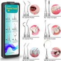 Dental Tools, Dental Pick for Teeth Cleaning, Stainless Steel Hygiene Kit with Tooth Scraper Plaque Tartar Remover - with Case