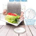 Pomeat 10 Pack Fridge Organizer, Stackable Refrigerator Bins with Lids, BPA-Free Produce Fruit Storage Containers for Fridge, Clear for Food, Drinks, Vegetable