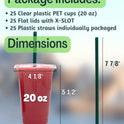 20 oz Clear Plastic Cups with Lids and STRAWS, Disposable Drinking Cups for Cold Drinks, Iced Coffee, Milkshakes, Smoothies, 25 Sets