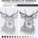 MARKART Professional Drawing Sketching Pencil Set - 14 Pieces,Graphite,(12B - 4H), Ideal for Drawing Art, Sketching, Shading, Artist Pencils for Beginners & Pro Artists