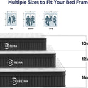 Queen Mattress 12 inch, Hybrid Mattress in a Box, Individually Pocket Springs, Medium Firm Feel for Pressure Relief, Breathable Comfort, CertiPUR-US Certified, Gray&White