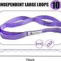 Stretching Strap Yoga Strap with Loops, Stretch Straps for Physical Therapy, Non-Elastic Exercise Strap for Pilates, Dance and Gymnastics with Workout Guide