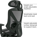 STAPLES Dexley Ergonomic Mesh Swivel Task Chair, Black (UN56946)