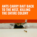 TERRO Ant Killer Bait Stations T300B - Liquid Bait to Eliminate Ants - 12 Count Stations for Effective Indoor Ant Control