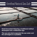 Le Marinier Celtic Salt Organic Fine Ground, 1.1lb - 18oz. Mineral Rich. 100% Natural and Unrefined. French Sea Salt Organic Vital Minerals. Hand Harvested Mineral Salt (1.1lb Fine Ground)