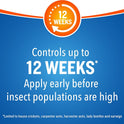 Cutter Backyard Bug Control Spray Concentrate (2 Pack), Kills Mosquitoes, Fleas & Listed Ants, 32 fl Ounce