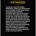 Pine Mountain StarterStikk 100% Natural Fatwood Firestarting Sticks, 5 Pound Natural Firestarting Wood Sticks for Campfire, Fireplace, Wood Stove, Fire Pit, Indoor and Outdoor Use