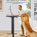 ErGear Height Adjustable Electric Standing Desk, 47.2 x 23.6 Inches Sit Stand up Desk, Memory Computer Home Office Desk with Two-Piece Desktop (Black)