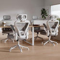 Ergonomic Office Chair M903, Computer Desk Chair with Wheels, High Back Mesh Office Chair with Adjustable Lumbar Support, Headrest, Flip-Up Armrests, Withe Grey