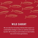 King Oscar Wild Caught Sardines in Extra Virgin Olive Oil 3.75 Ounce (Pack of 4)