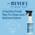 MRS. MEYER'S CLEAN DAY Multi-Surfaace Everyday Cleaner, Rain Water Scent, 16 Ounce Bottle