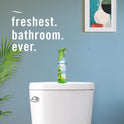 Febreze Air Mist Air Freshener Spray, Odor-Fighting Room Spray, Air Fresheners for Home and Bathroom and Kitchen, Aerosol Can, Gain Original Scent, 8.8oz, 2 Count