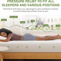 EGOHOME 10 Inch Queen Mattress, Memory Foam Mattress in a Box with Cooling Green Tea Gel, Relieve Pressure with Medium Support, CertiPUR-US Certified, 80''L x 60''W, White