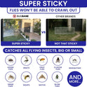 50 Window Fly Traps Sticky Non-Toxic Clear Fly Paper Indoor for Home. No Mess Flies Window Sticky Traps Bug Flies Strips Indoors. Fruit and Housefly Trap Indoor Flypaper Tape Gnat Catcher Killer