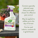Garden Safe 32 oz. Insecticidal Soap Ready-to-Use, 1 Count (Pack of 1)