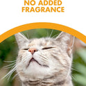 Feline Pine Platinum Non-Clumping Cat Litter 18lb.