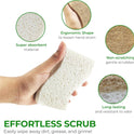Biodegradable Natural Kitchen Sponge - Compostable Cellulose and Coconut Walnut Scrubber Sponge (12 Pack)