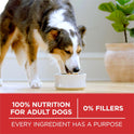 Purina ONE Dry Dog Food Lamb and Rice Formula - 8 lb. Bag - Cart Shape
