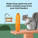 Kaytee Corn on the Cob for Squirrels & Wildlife – 6.5 lb Bag