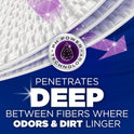ARM & HAMMER™ Deep Clean Odor Formula Laundry Detergent Power Paks, Laundry Odor Remover, Radiant Burst Scent, 44 Count, 44 Loads
