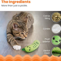 Catstages Crunchy Pickle Kicker Toy with Catnip and Dental Mesh, Pickle Shape, Plush and Crinkle Cat Toy for Kicking, Tossing, and Teeth Cleaning, Green