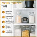Dr. Killigan's Premium Double Potent Pantry Moth Traps with Pheromones Prime, Sticky Indian Meal Moth Traps for Kitchen, How to Get Rid of Moths in House (6 Pack, Black)