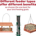 Kaytee All American Wild Bird Food Seed Blend, 5 Pound