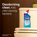 Clorox Toilet Bowl Cleaner, Clinging Bleach Gel, Ocean Mist - 24 Ounces, Pack of 2