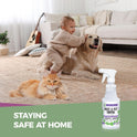 Peppermint Oil Insect & Pest Control Spray – 16oz Natural Plant-Based Bug Killer for Spiders, Ants, Flies, and Other Insects, Safe for Home & Kitchen Use