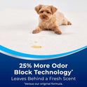 Bissell Woolite Advantage Carpet & Upholstery Cleaner 4 Pack, 3325