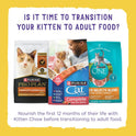 Purina Kitten Chow 14lb