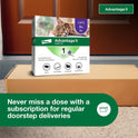 Advantage II Large Cat Vet-Recommended Flea Treatment & Prevention | Cats Over 9 lbs. | 1-Month Supply
