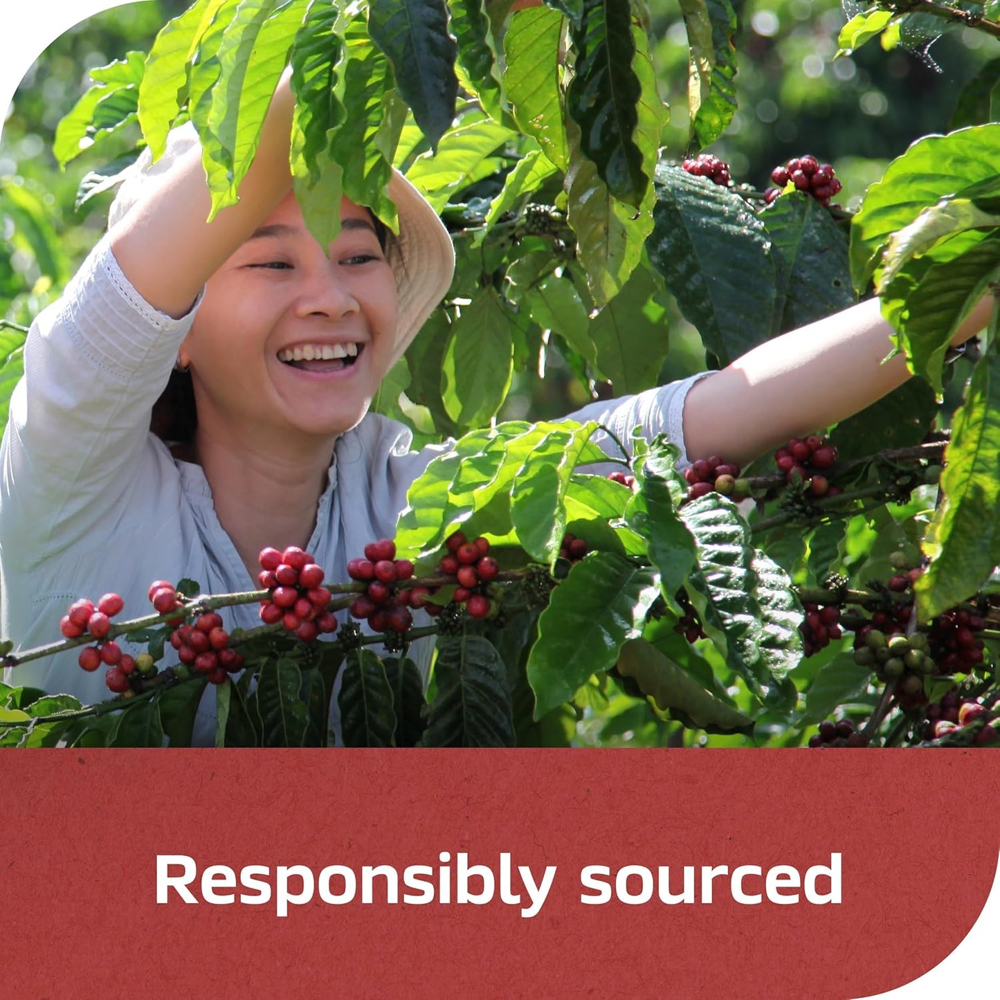 NESCAFÉ CLÁSICO Instant Coffee, Dark Roast Coffee, 1 Jar (10.5 Oz)